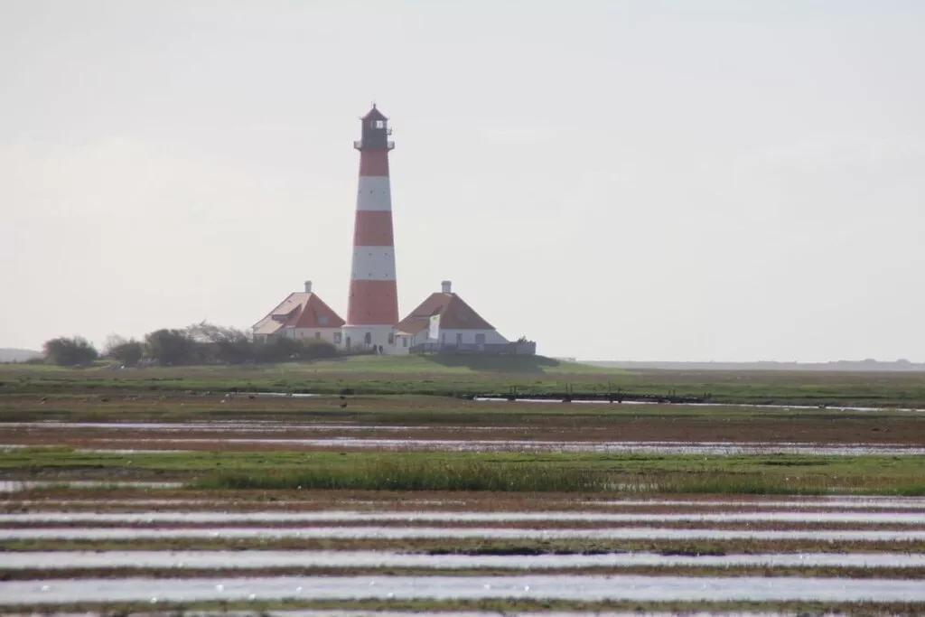 66667-Nicht zugeordnet