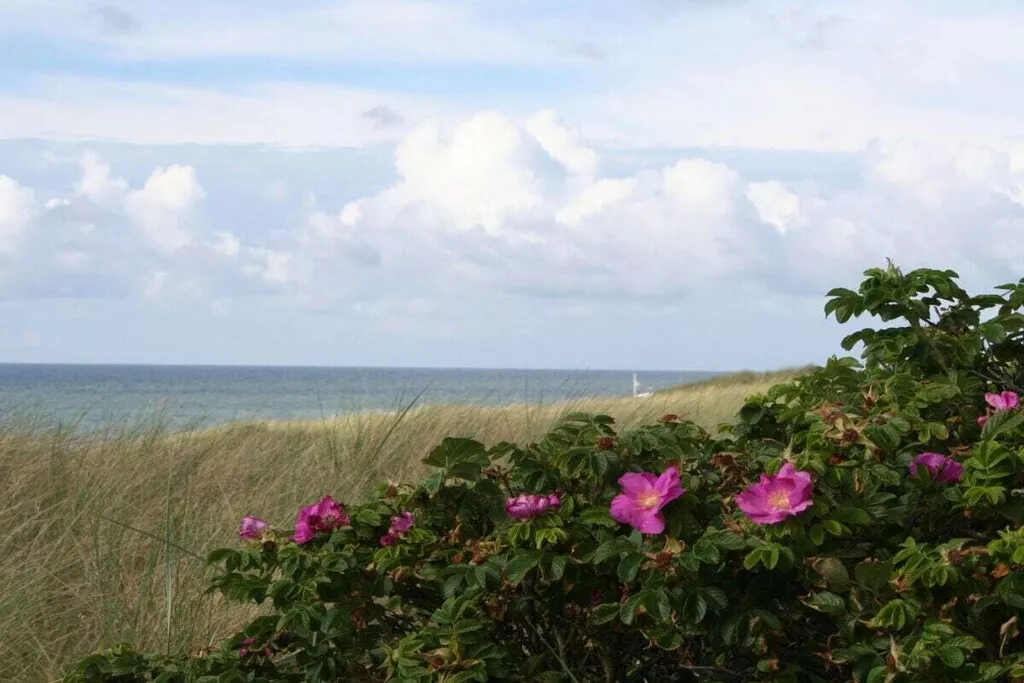 284171-Nicht zugeordnet