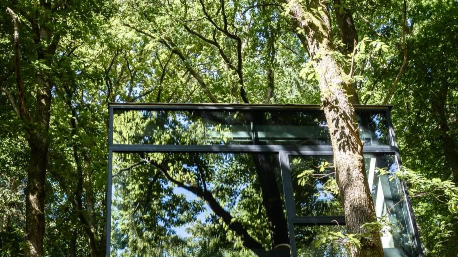 Cabane dans les arbres-Exterior in summer