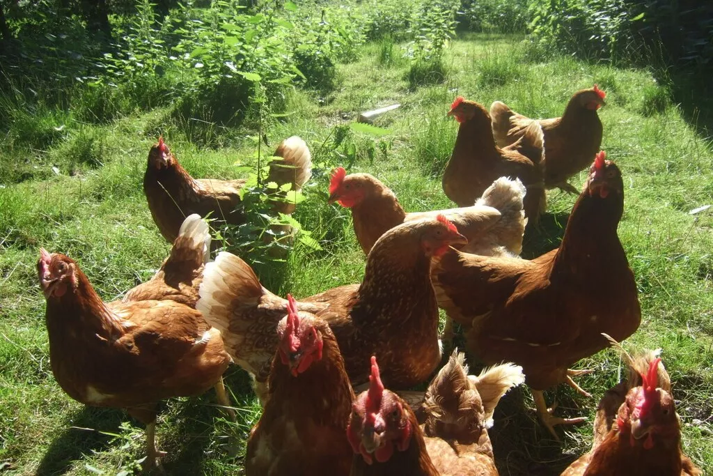 9458-Nicht zugeordnet