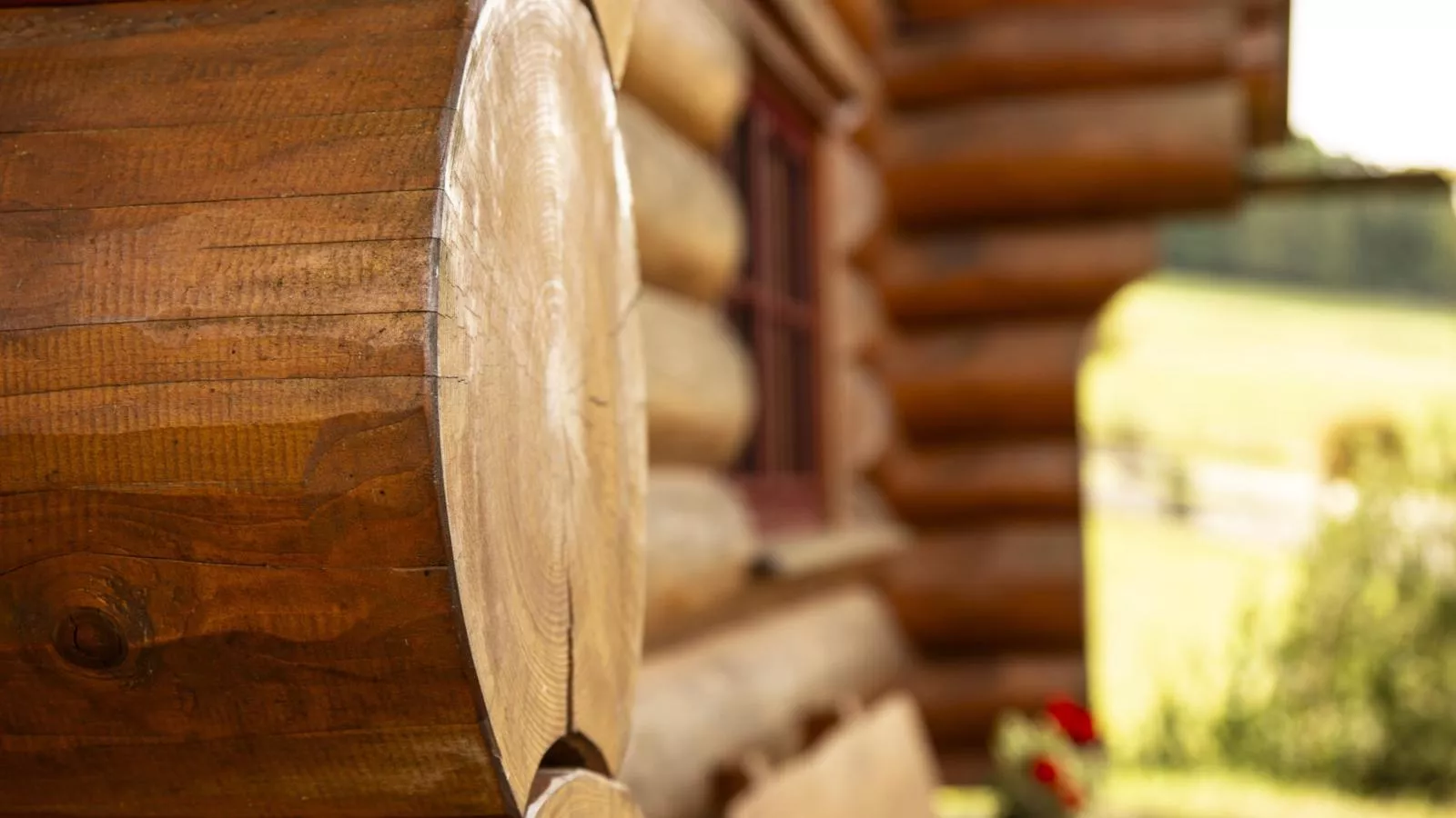 Naturstammhaus-Terrasse/Balkon