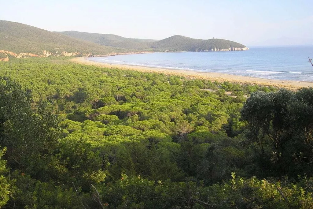 29689-Nicht zugeordnet