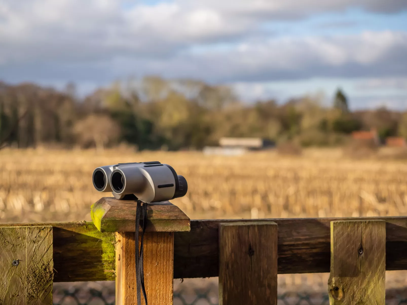 Pottles Retreat-Dehors