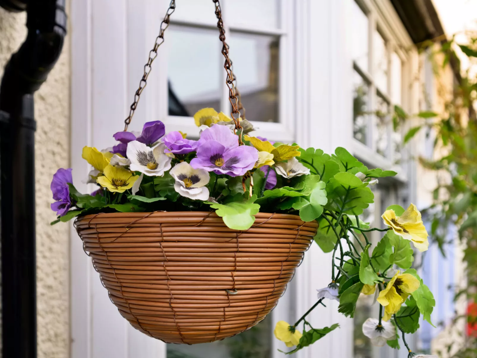 Penmaen House-Dehors