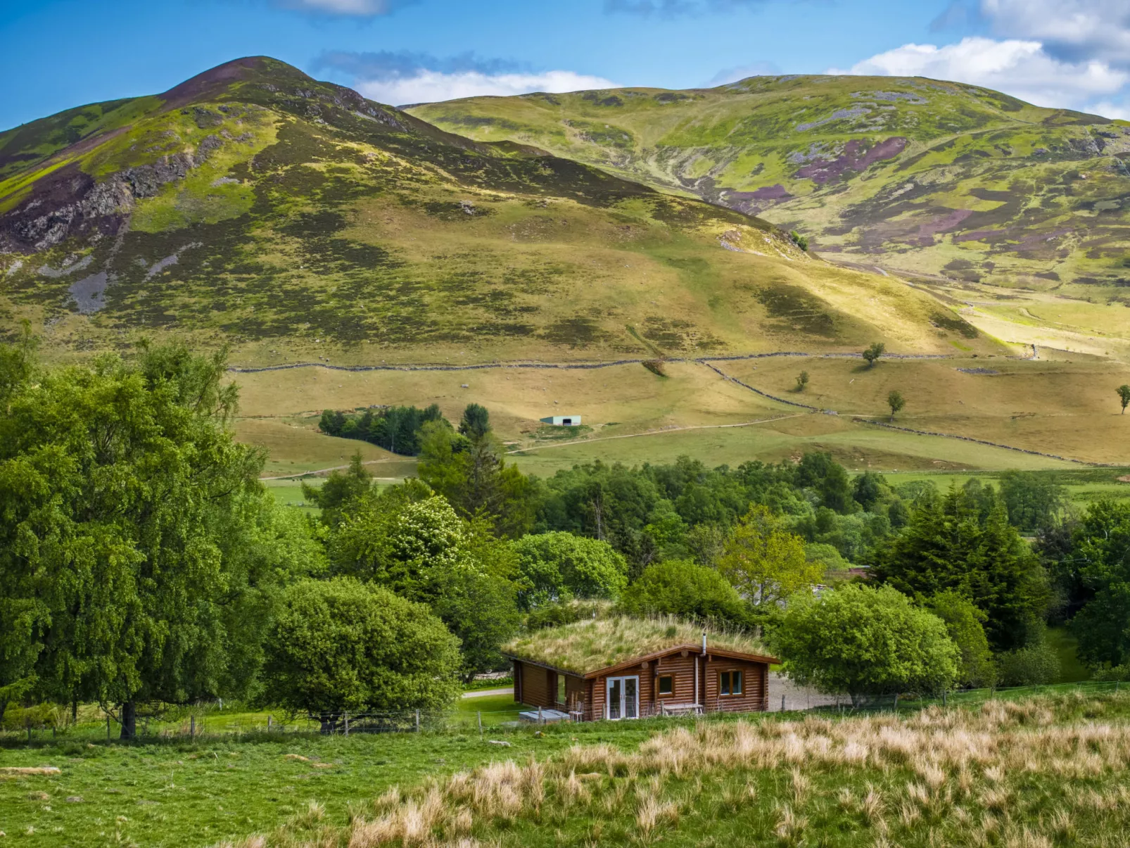Cragdhu Log Cabin-Dehors