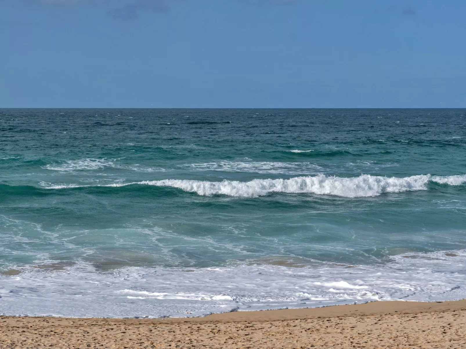 No. 5 Harlequin-Draußen