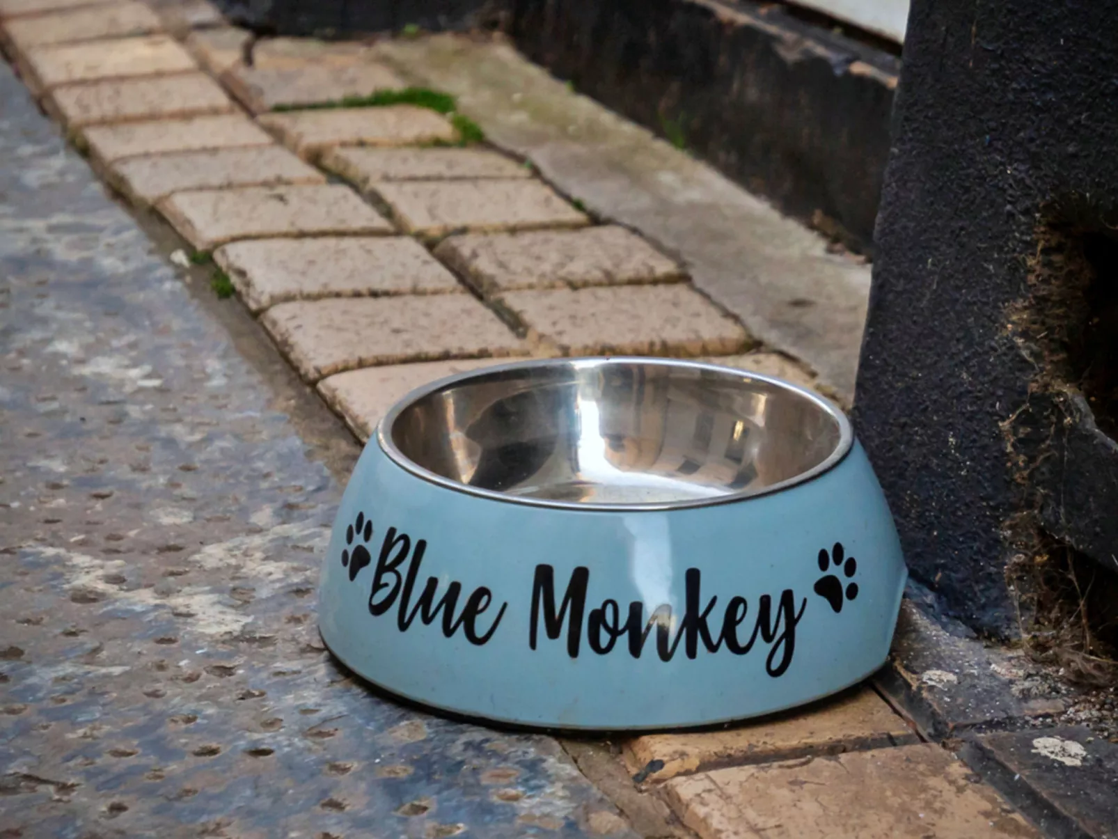 Blue Monkey-Dedans