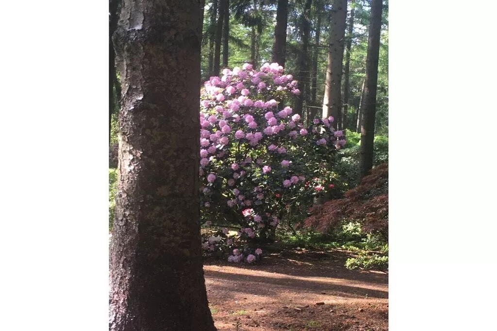 109045-Nicht zugeordnet