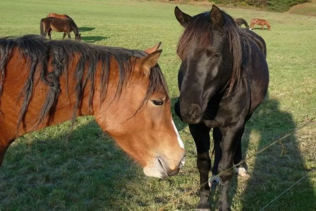 14349-Nicht zugeordnet