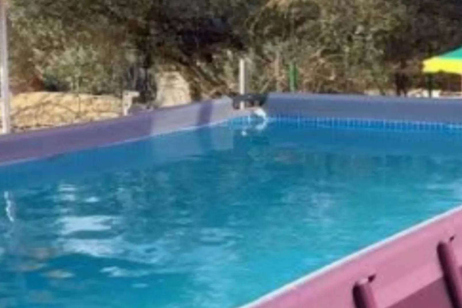 Holiday Home Village Paradise-Piscine