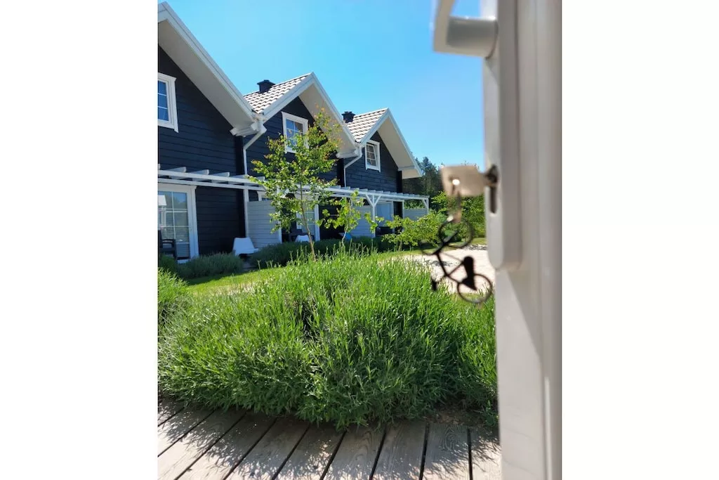 241695-Nicht zugeordnet