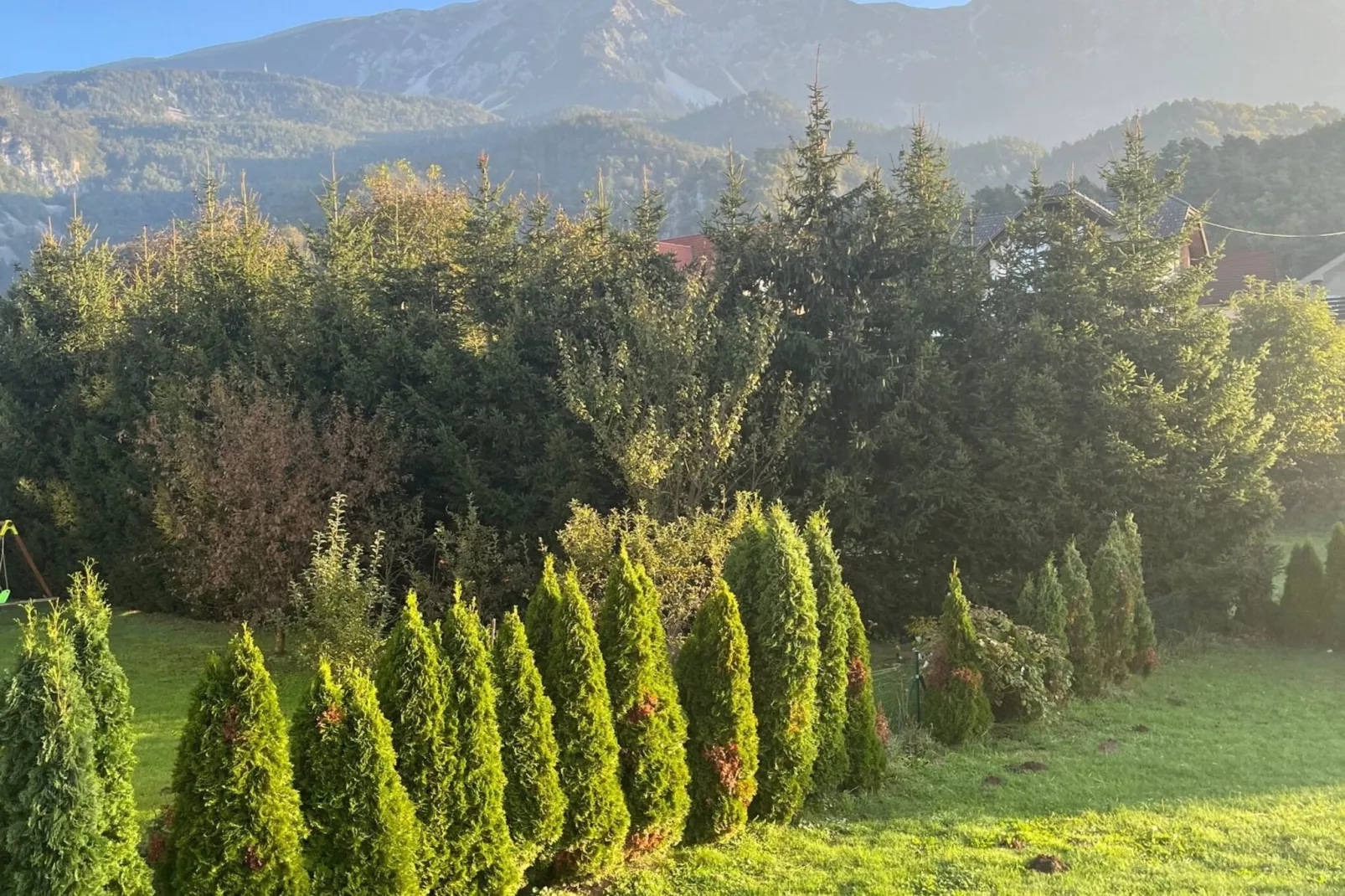 Meadow Tranquil Apartments with Evergreen Garden - Two Bedroom Apartment-View