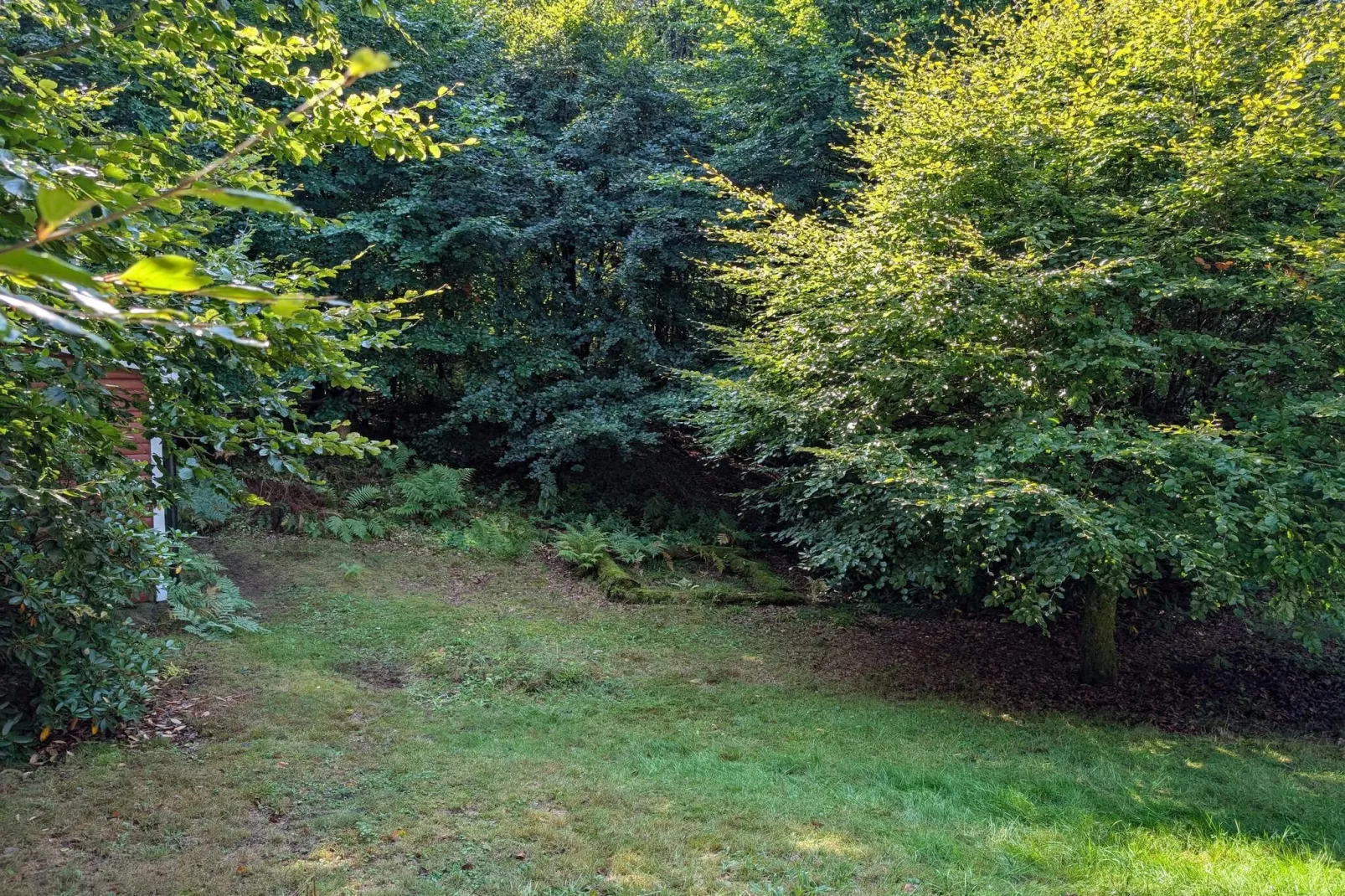 Charmant chalet au bord du lac avec sauna-Extérieur
