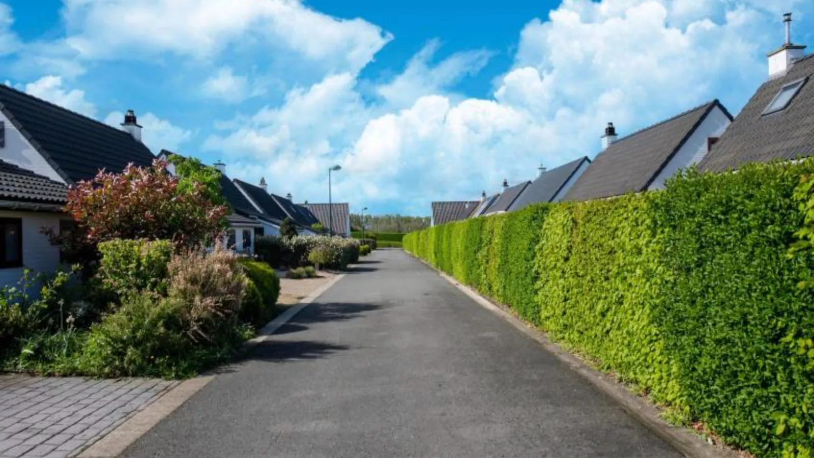 Nieuwendamme 108-Gebiete Sommer 1 km