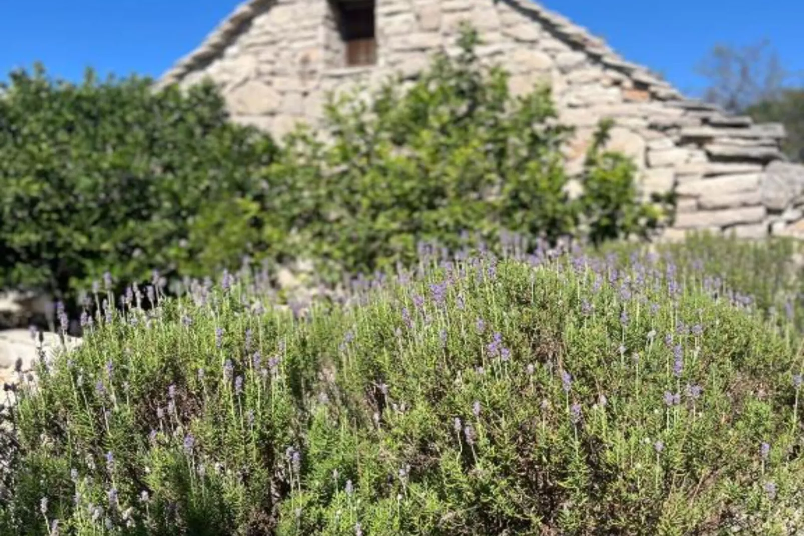 Romantic Stone House and Yard Near Stunning Beach - Two Bedroom Holiday Holiday Home  with  Patio and Terrace-Im Freien