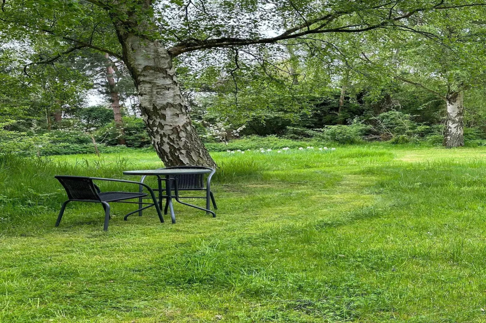 5 star holiday home in Knebel-Untagged