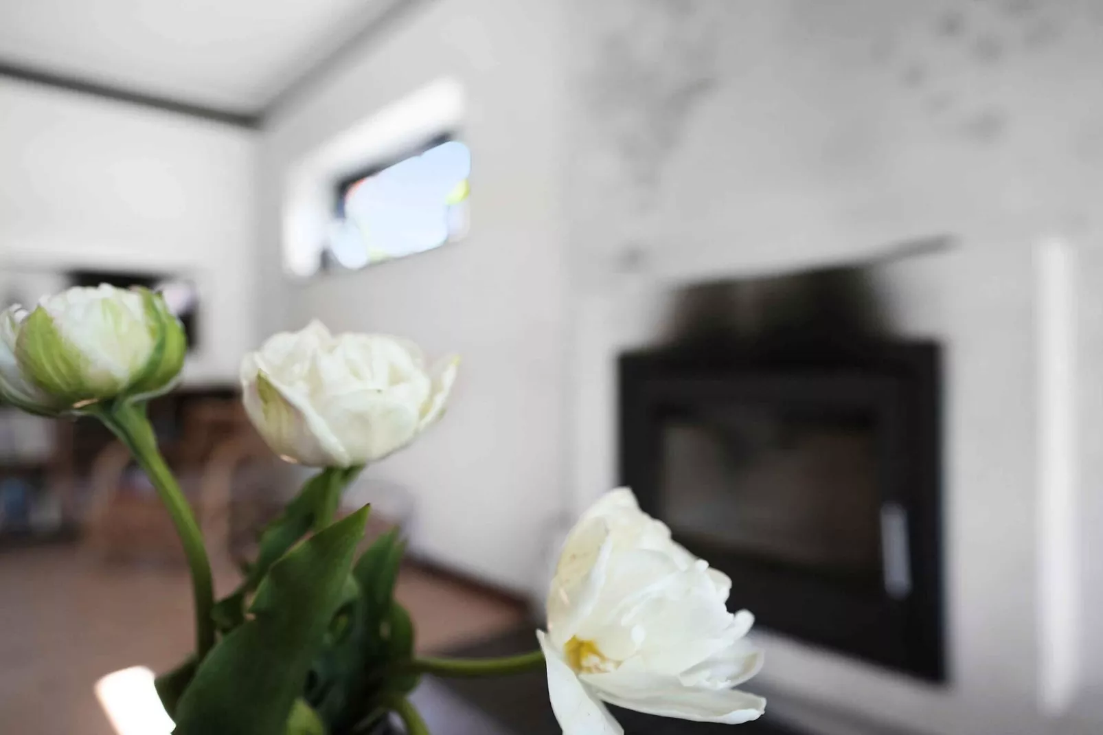 5 Sterne Ferienhaus in Græsted-Innenbereich