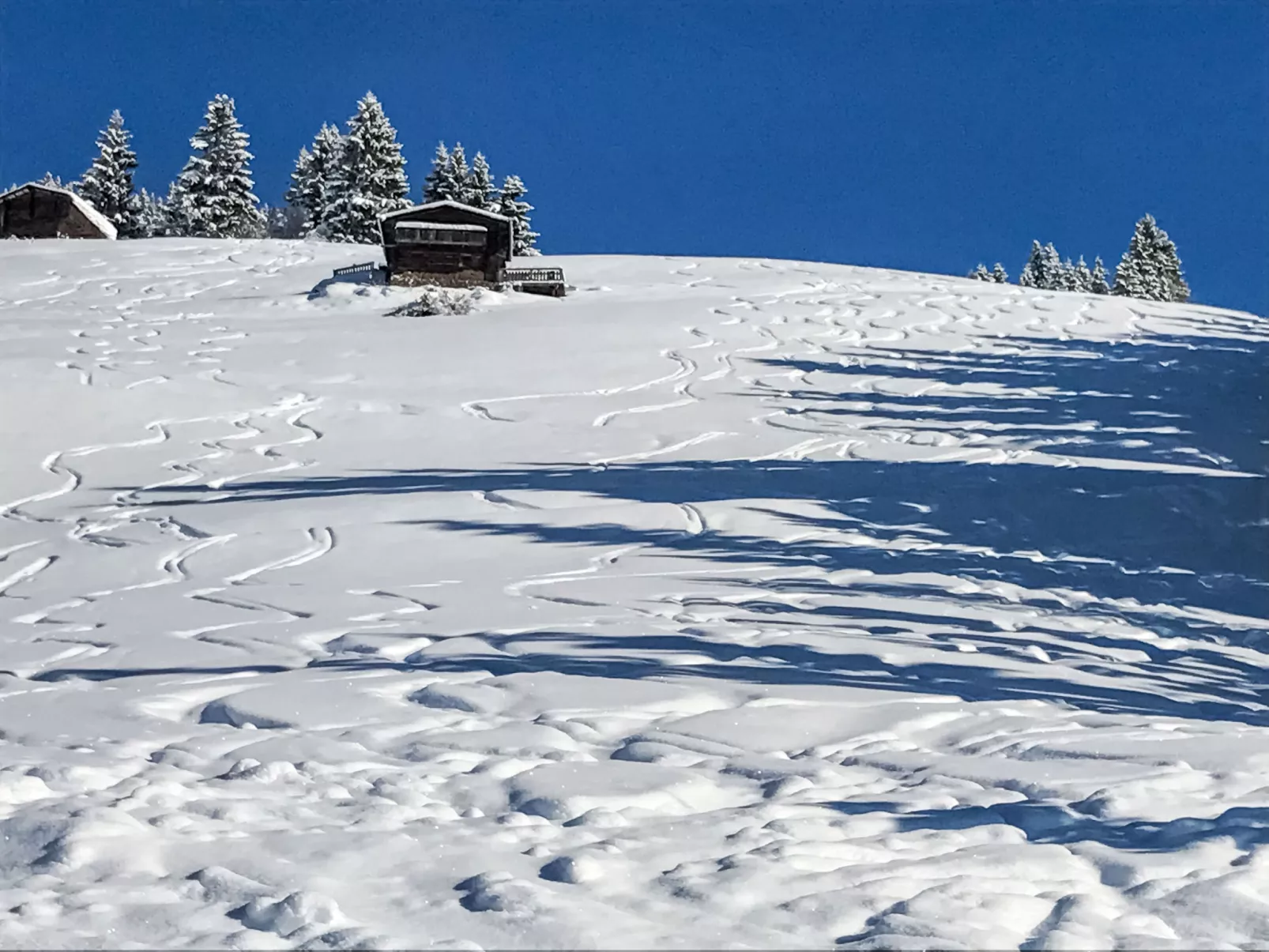 Almchalet Zillertal-Dehors