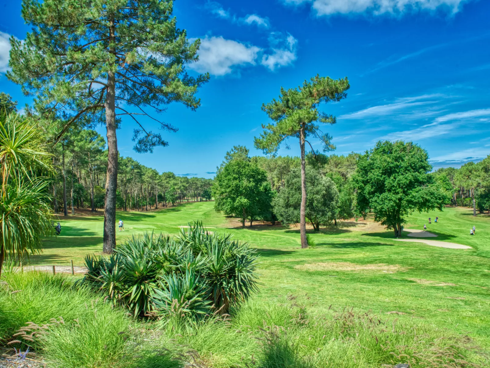 Marina de Talaris-Area