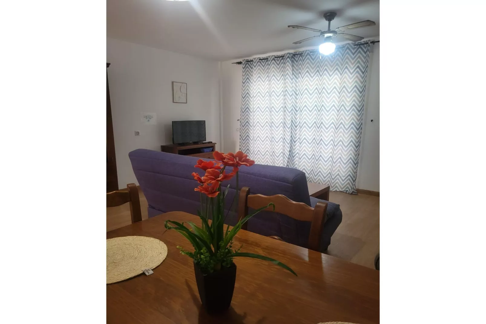 CT 369 AL - Faro's Apartmento Naturista - Primera Linea Vera Playa-Salon