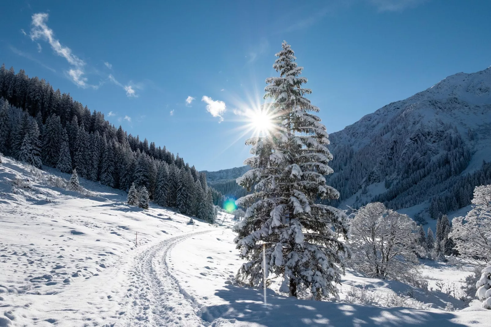 Top 5-Area within 1km in winter