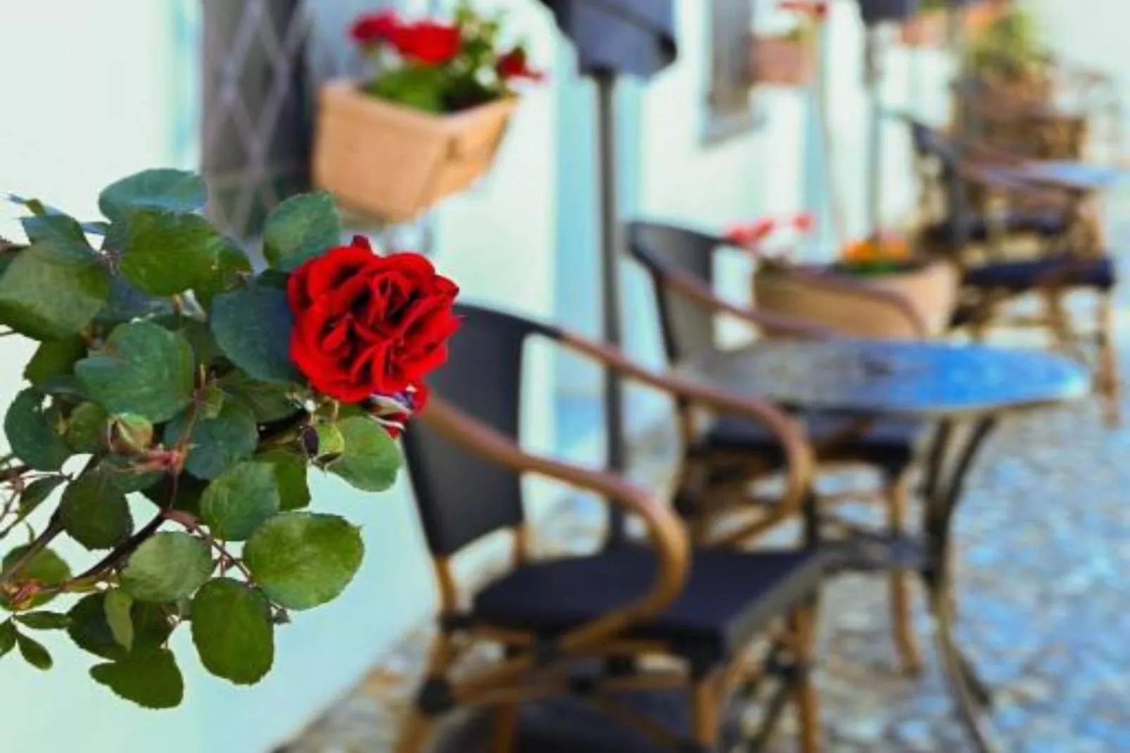 Double Room 7-Ambiance