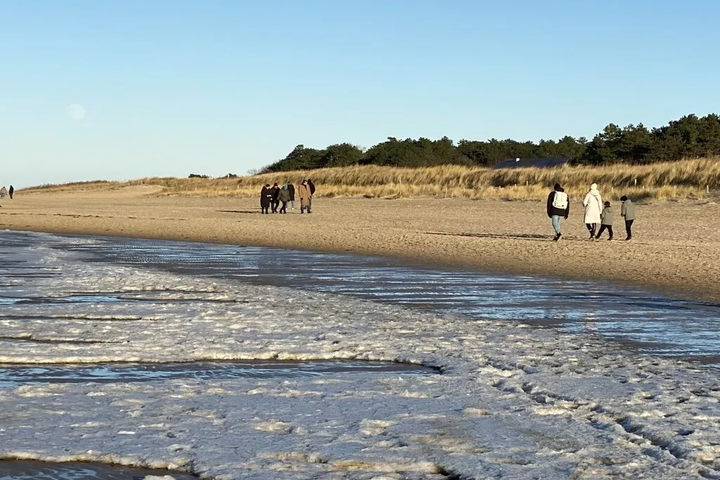 541259-Nicht zugeordnet