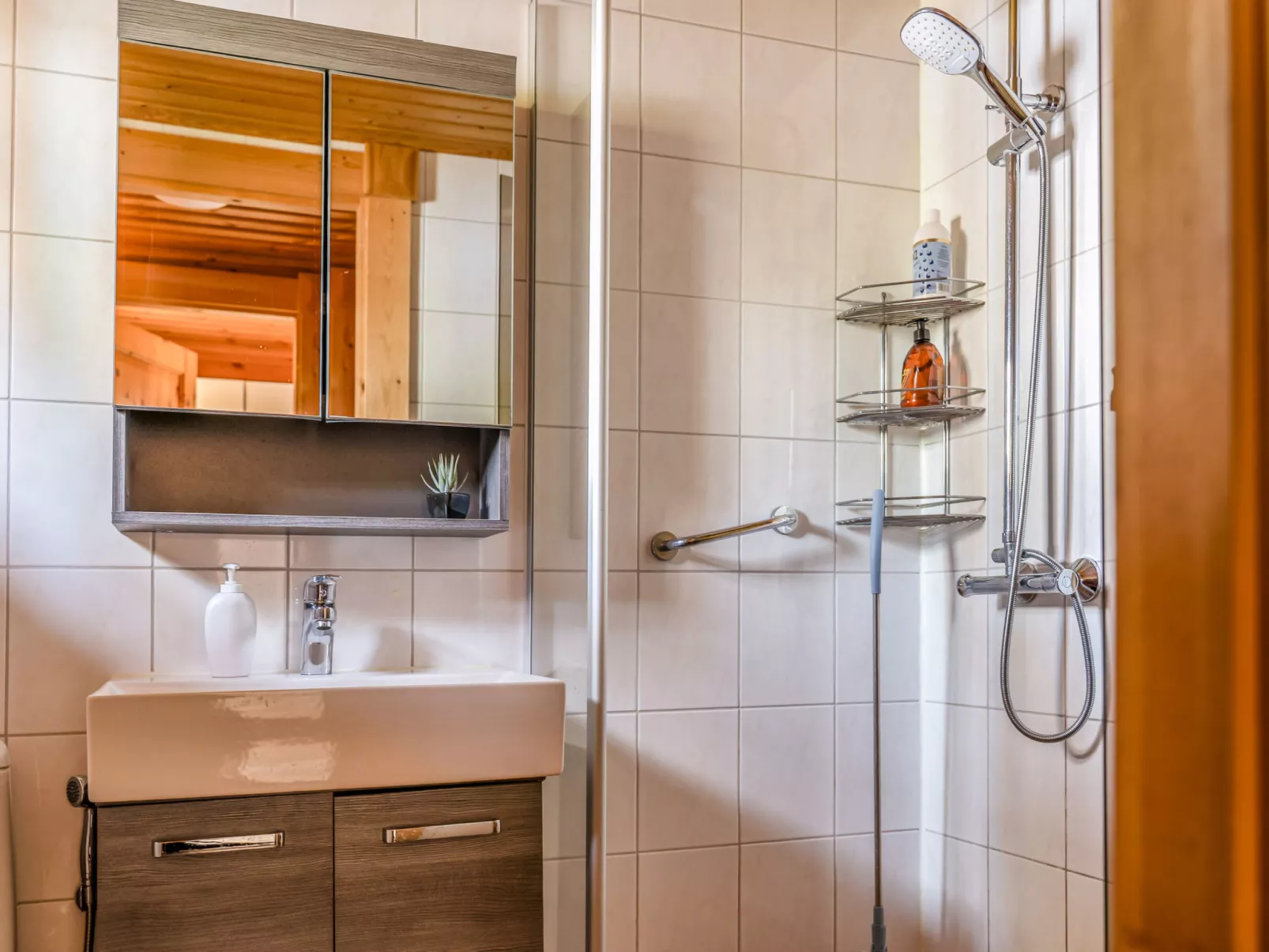 Villa joutsen-Drinnen