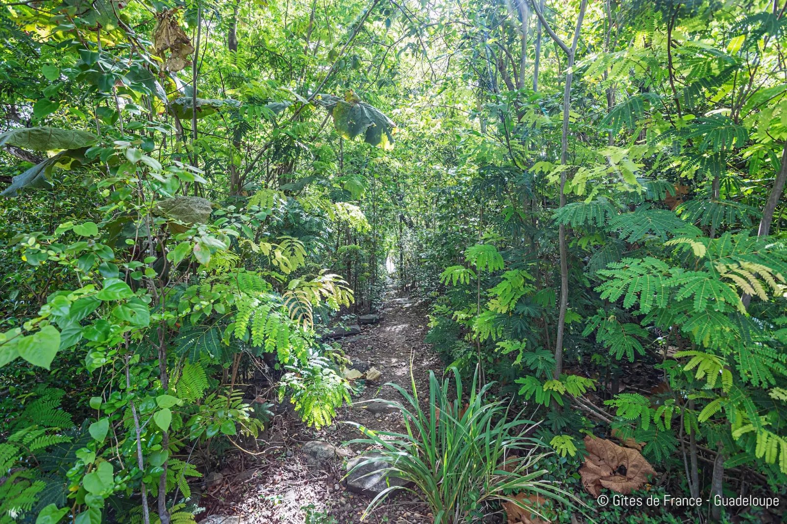 Paradise Bay Bungalow cosy bord de mer et piscine-Areas within 5km in summer