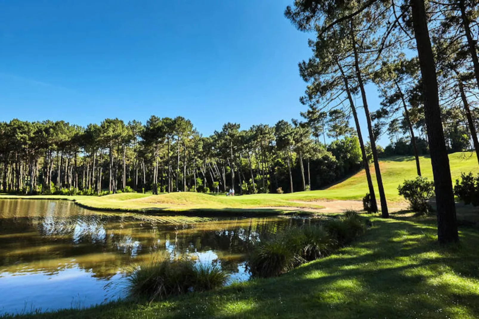 Maison à Lacanau-Untagged