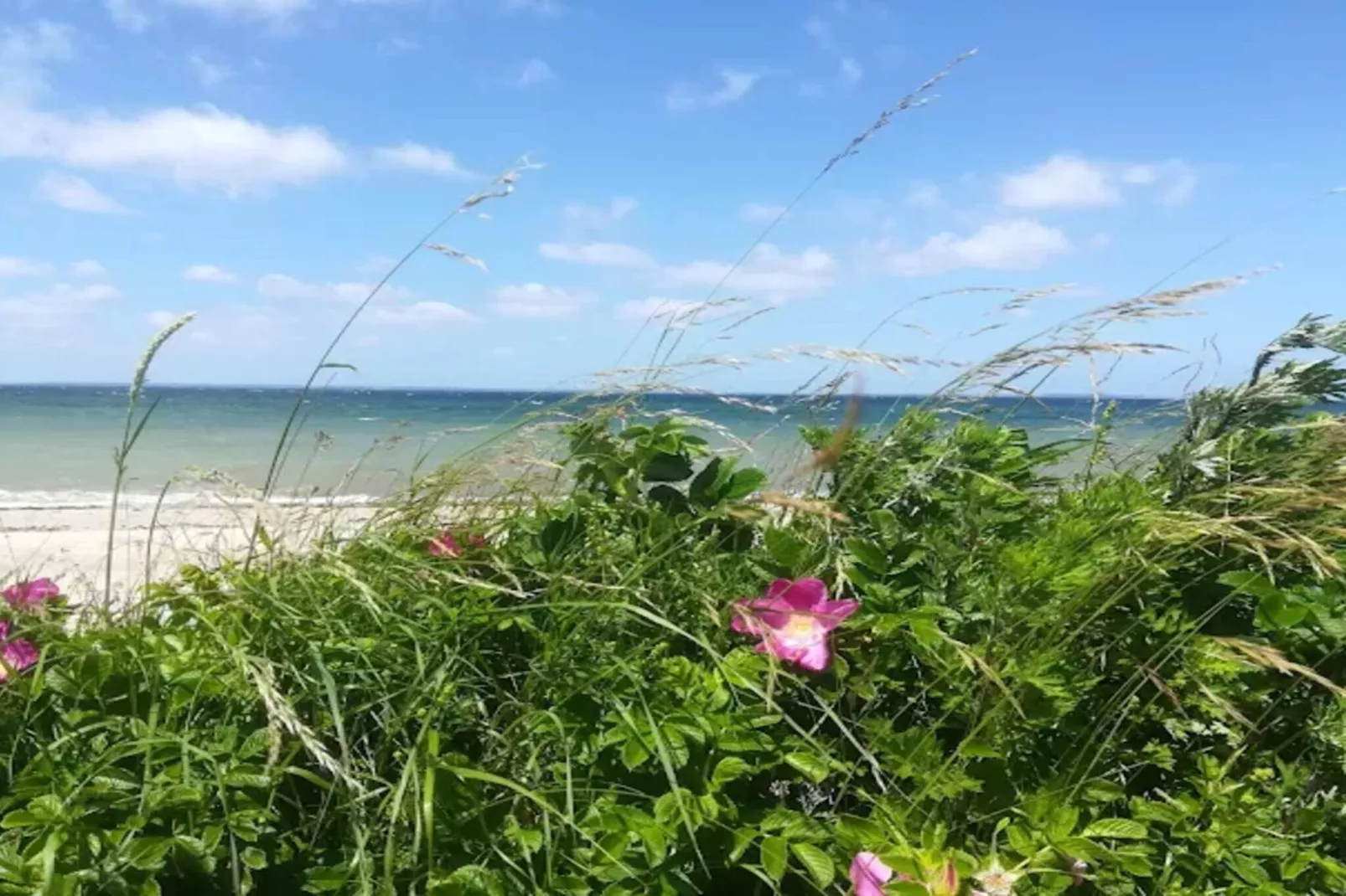 Maison de vacances pour 6 a Nordborg-Vue sur l'eau