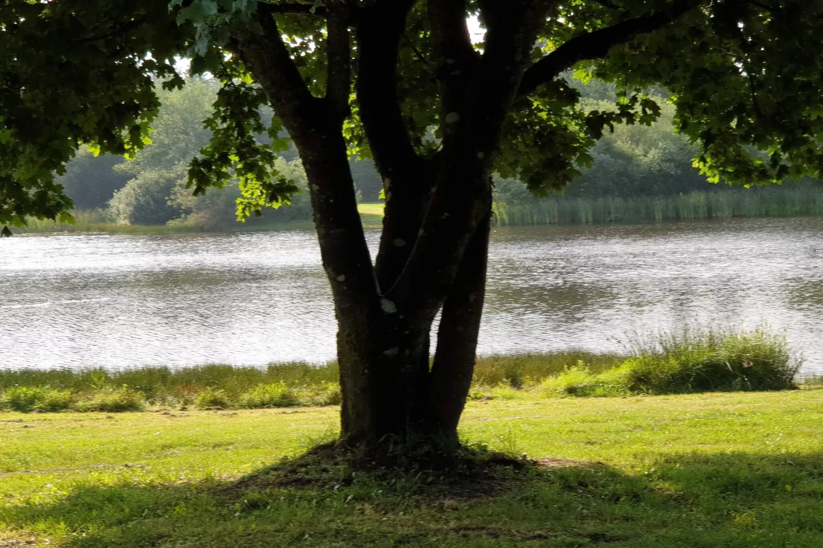 Helle Cottage-Oase in Silkeborg-By Traum-Wasserblick