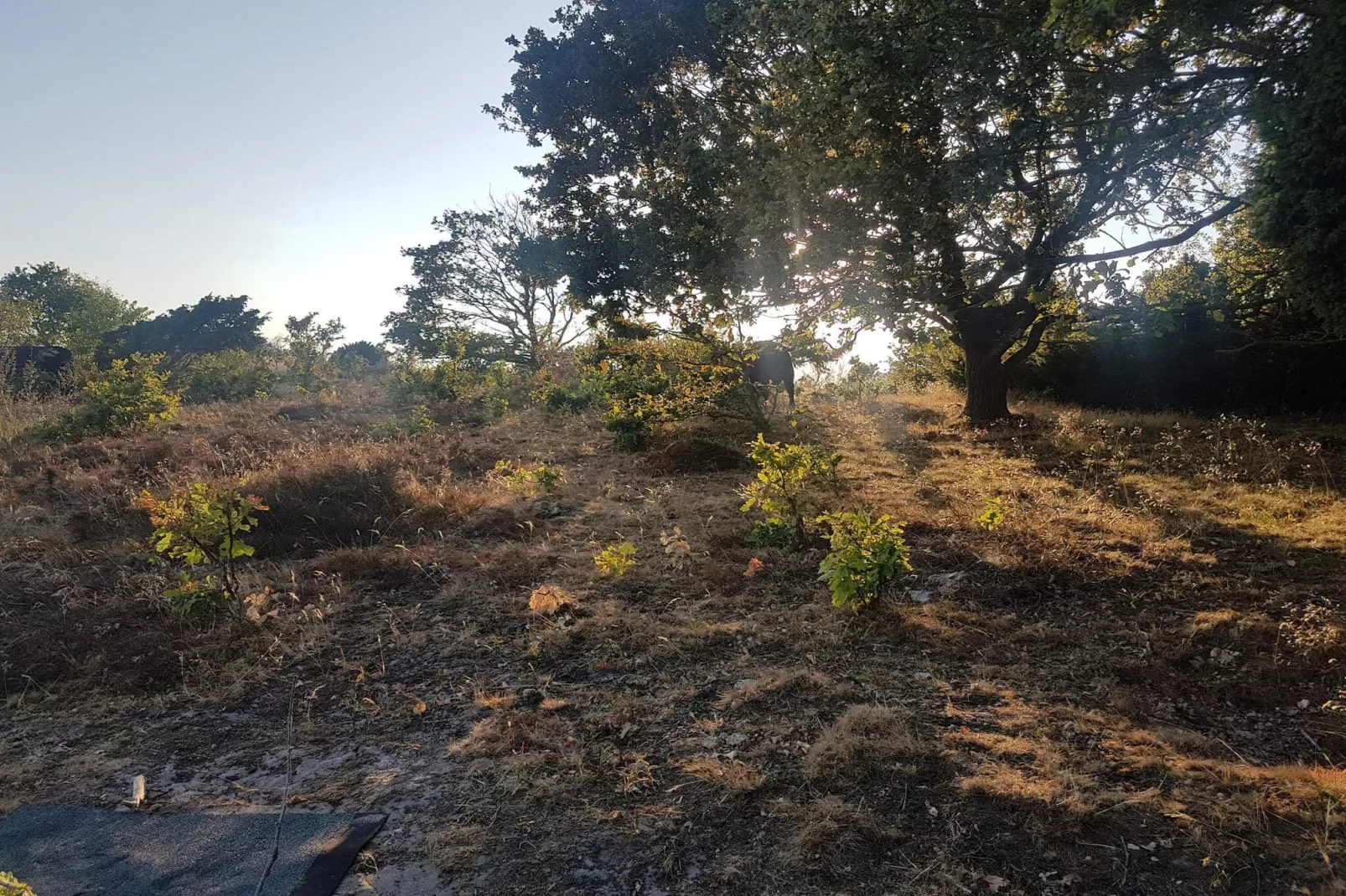 Maison de vacances pour 6 a Ebeltoft-Non tagué