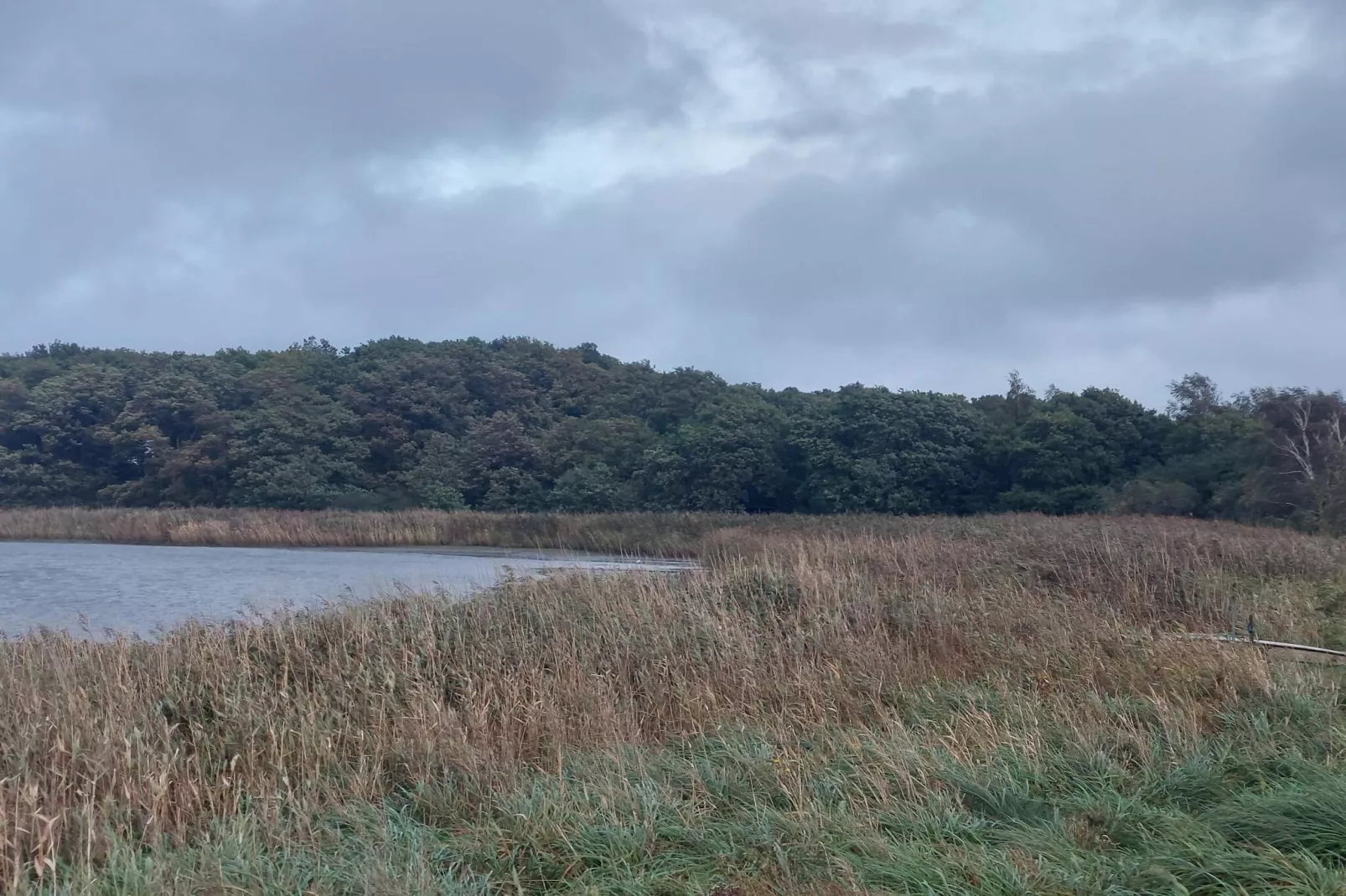 Seaside Escape in Praesto - By Traum Ferienwohnungen-Water view