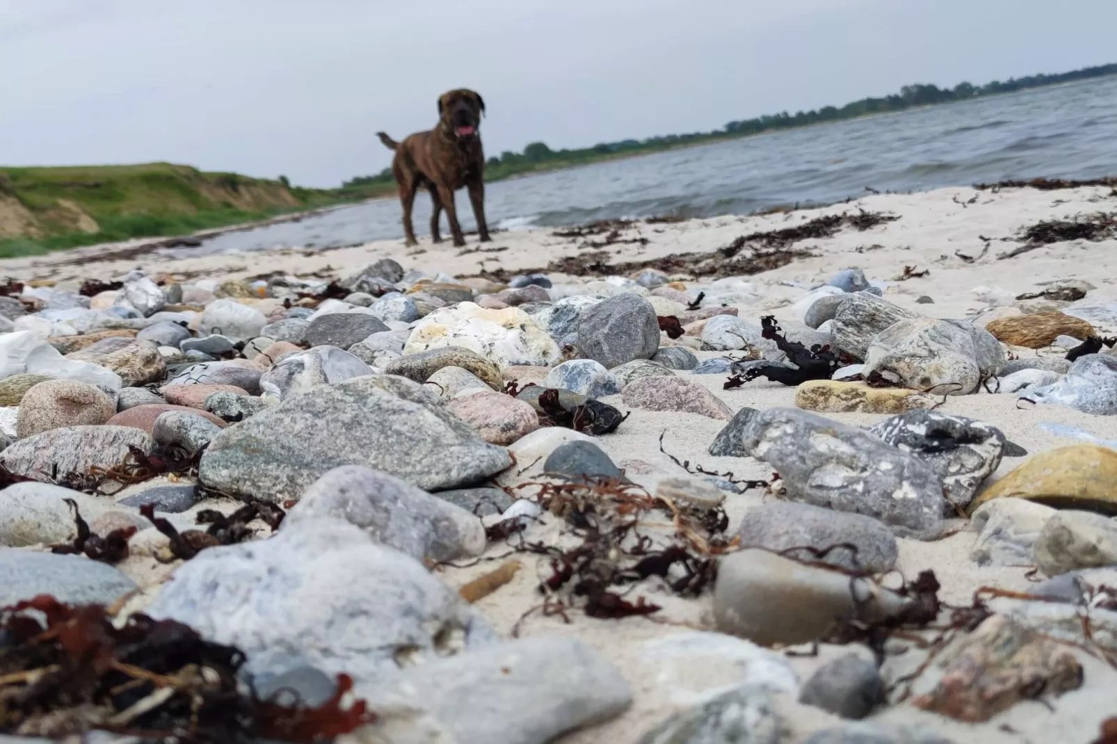 Retraite de luxe avec piscine a Kegnaes -- By Traum Ferienwohnungen-Vue sur l'eau