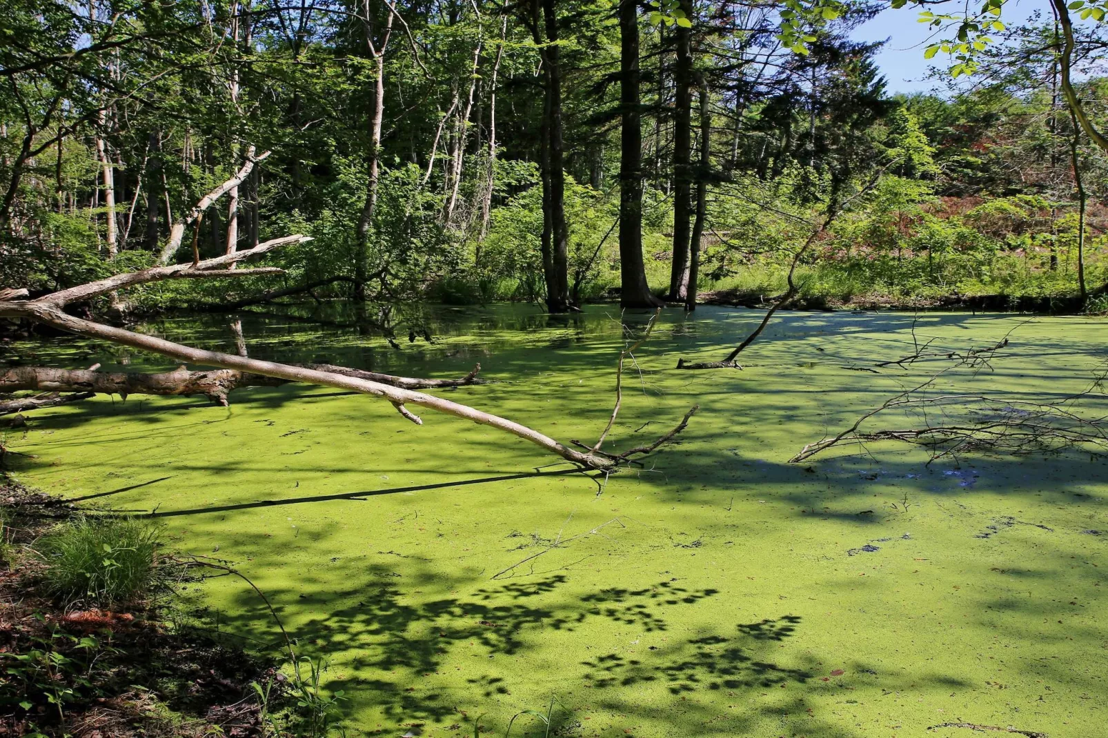 Villa de luxe avec piscine a Lohals -- By Traum Ferienwohnungen-Vue sur l'eau