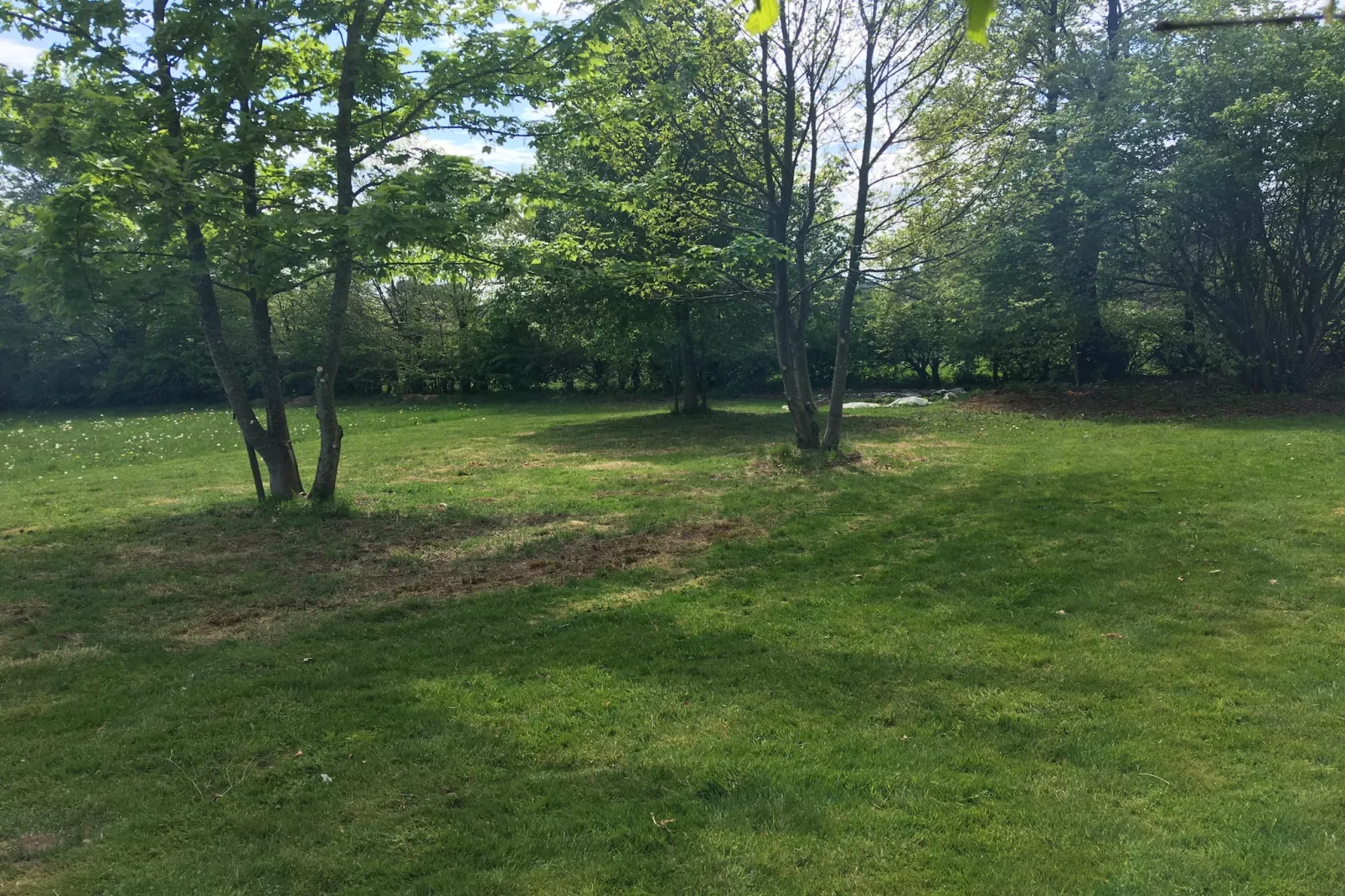 Domaine des Bouts de Fagnes-Gardens in summer