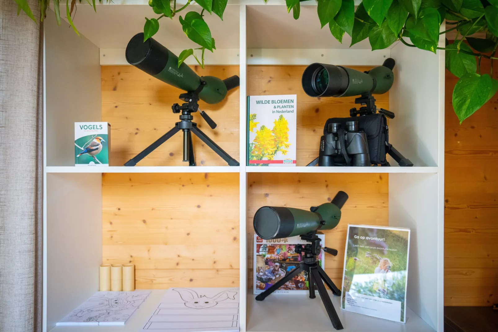 Eco Resort Grevelingenstrand-Ambiance