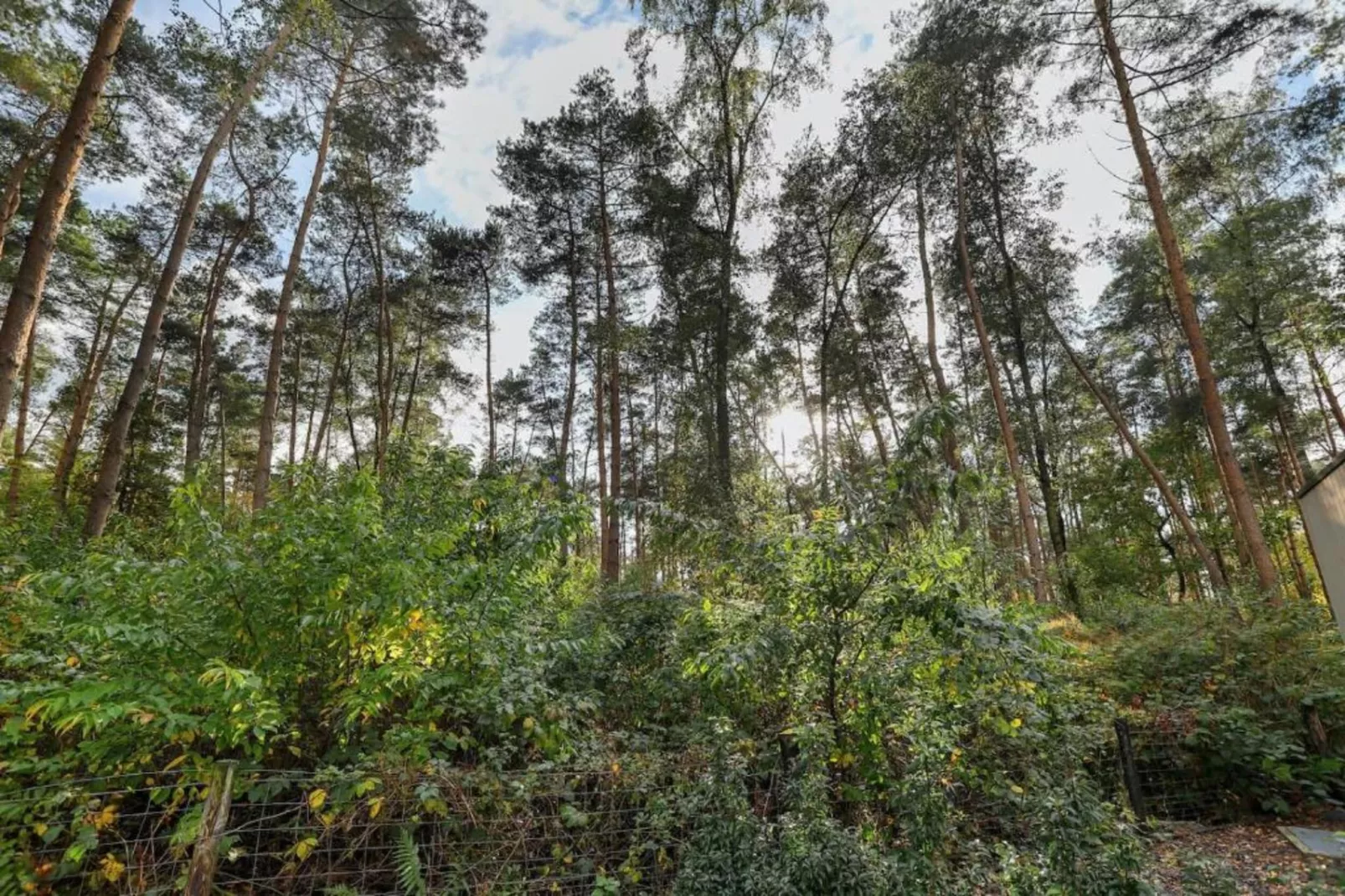 Bospark Markelo 3-Areas within 20km in summer