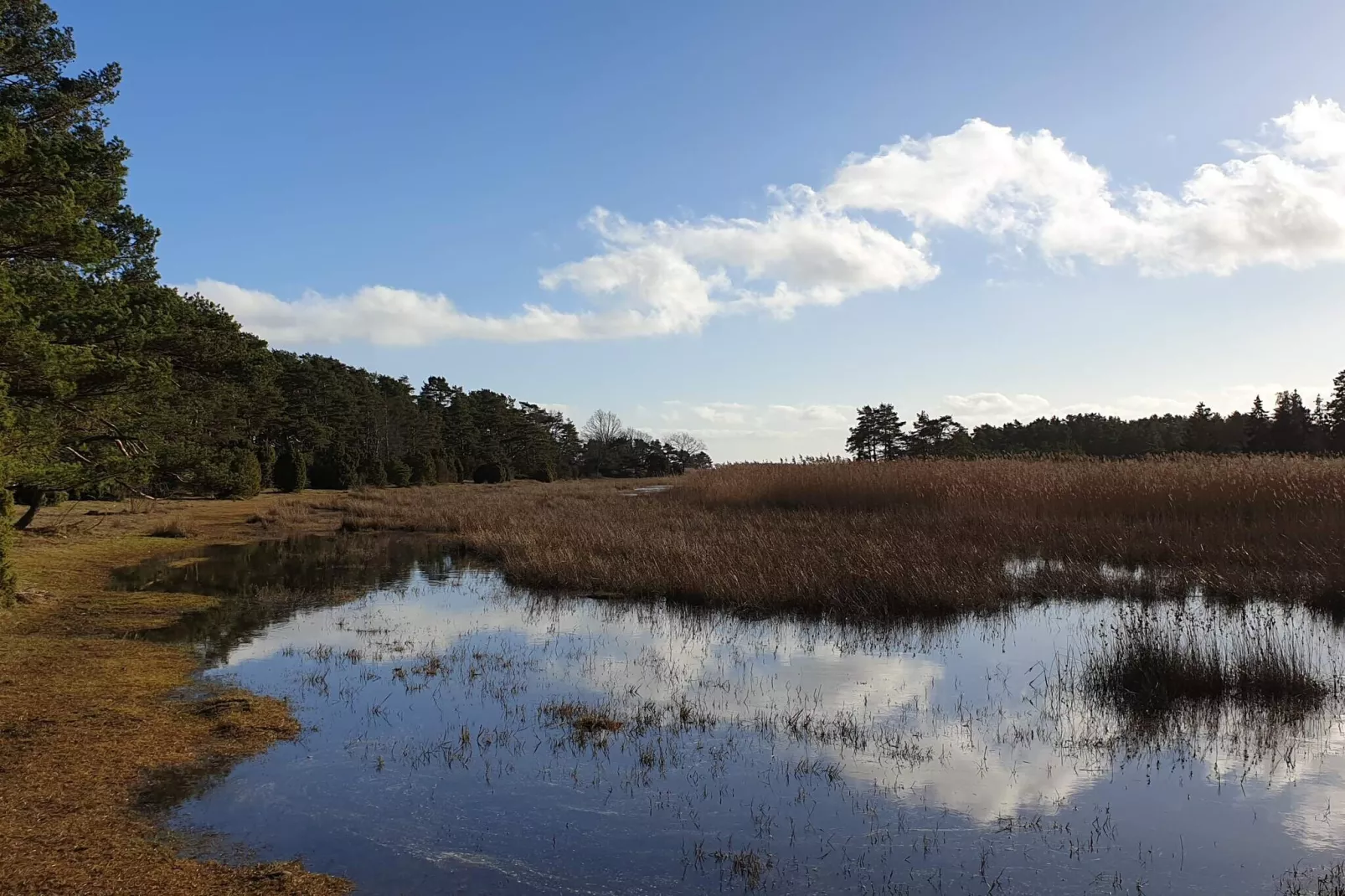 Maison de vacances pour 5 a HALTORP-By Traum-Vue sur l'eau