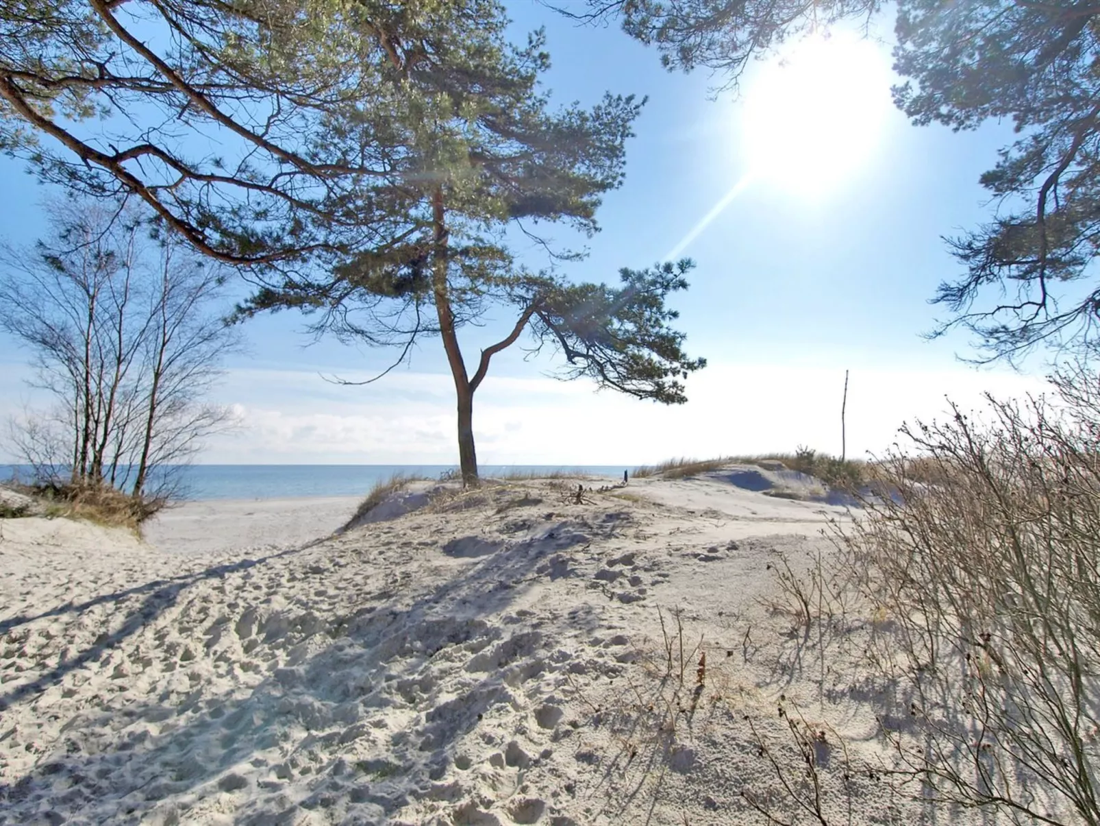 "Franzine" - 200m from the sea-Outside