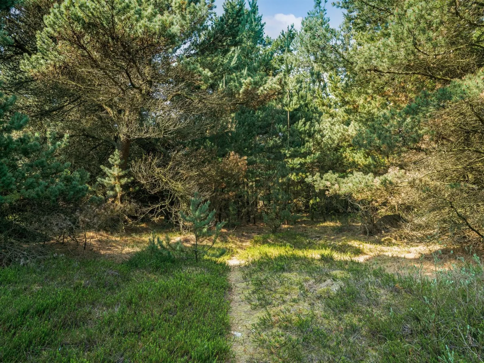 "Herborg" - 1km from the sea-Outside