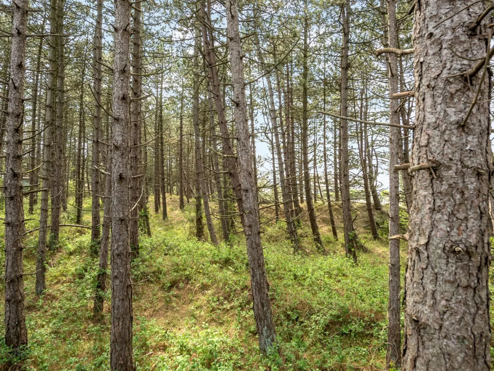 "Solvey" - 2km from the sea-Draußen