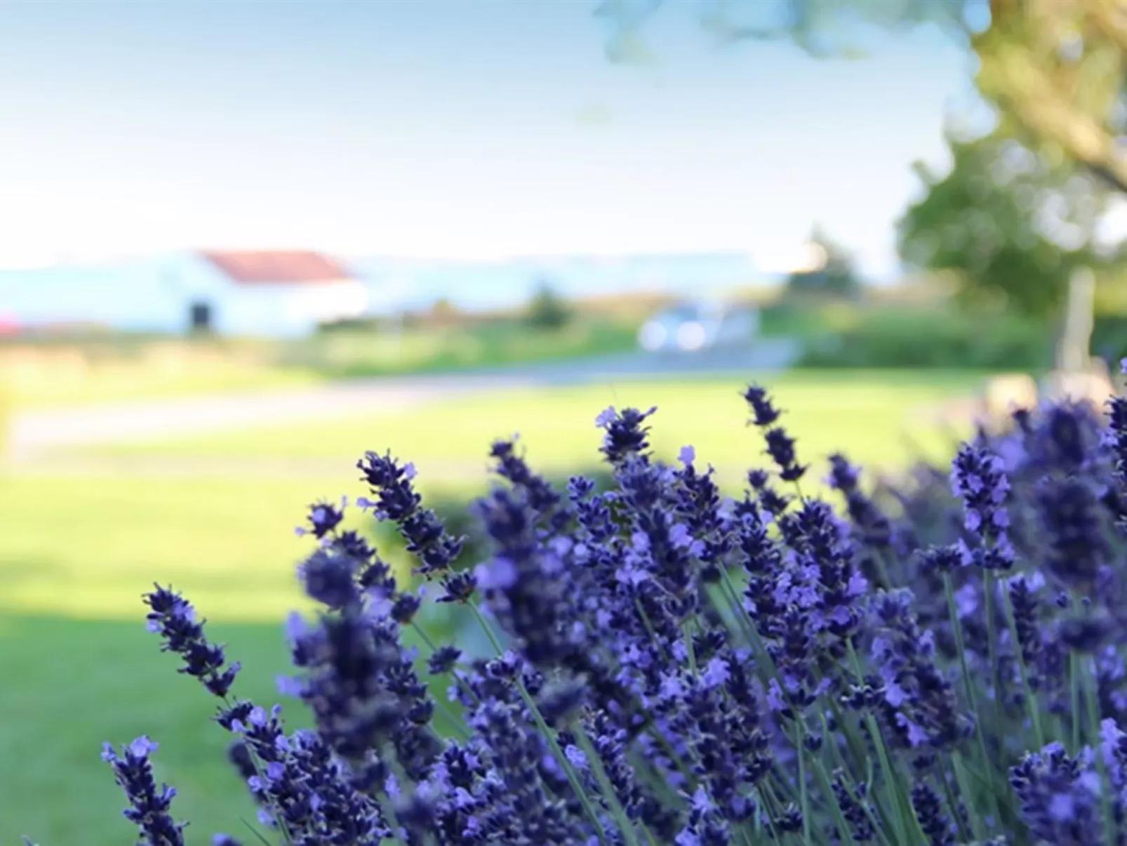 "Rina" - 30m to the fjord-Outside