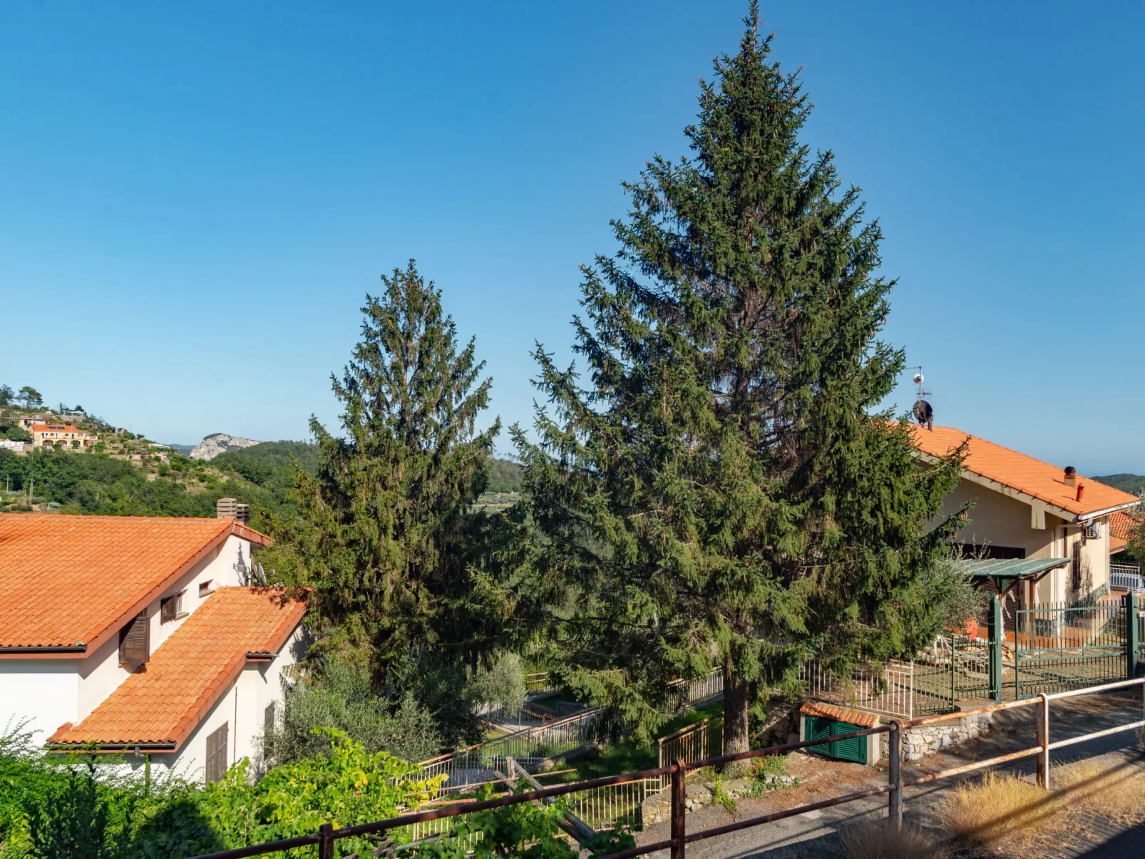 Villa Michelle-Draußen