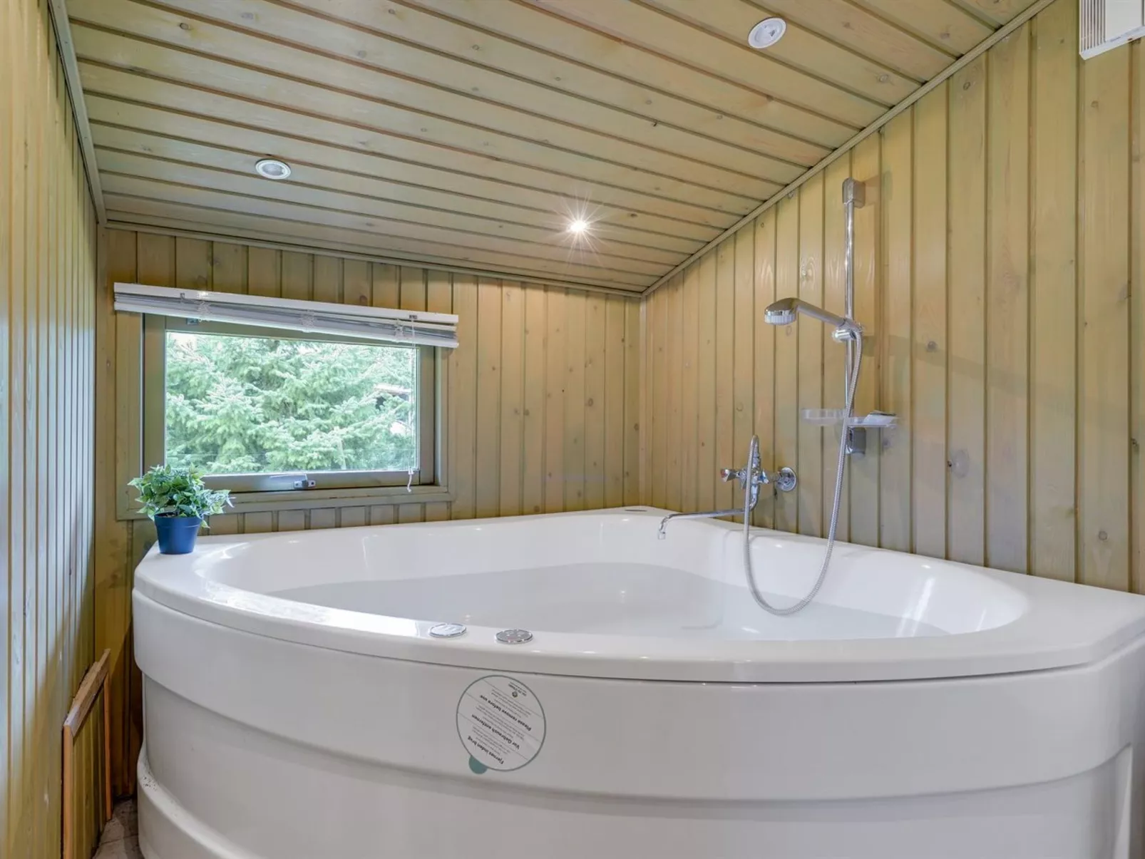 "Aileen" - 900m from the sea-Inside