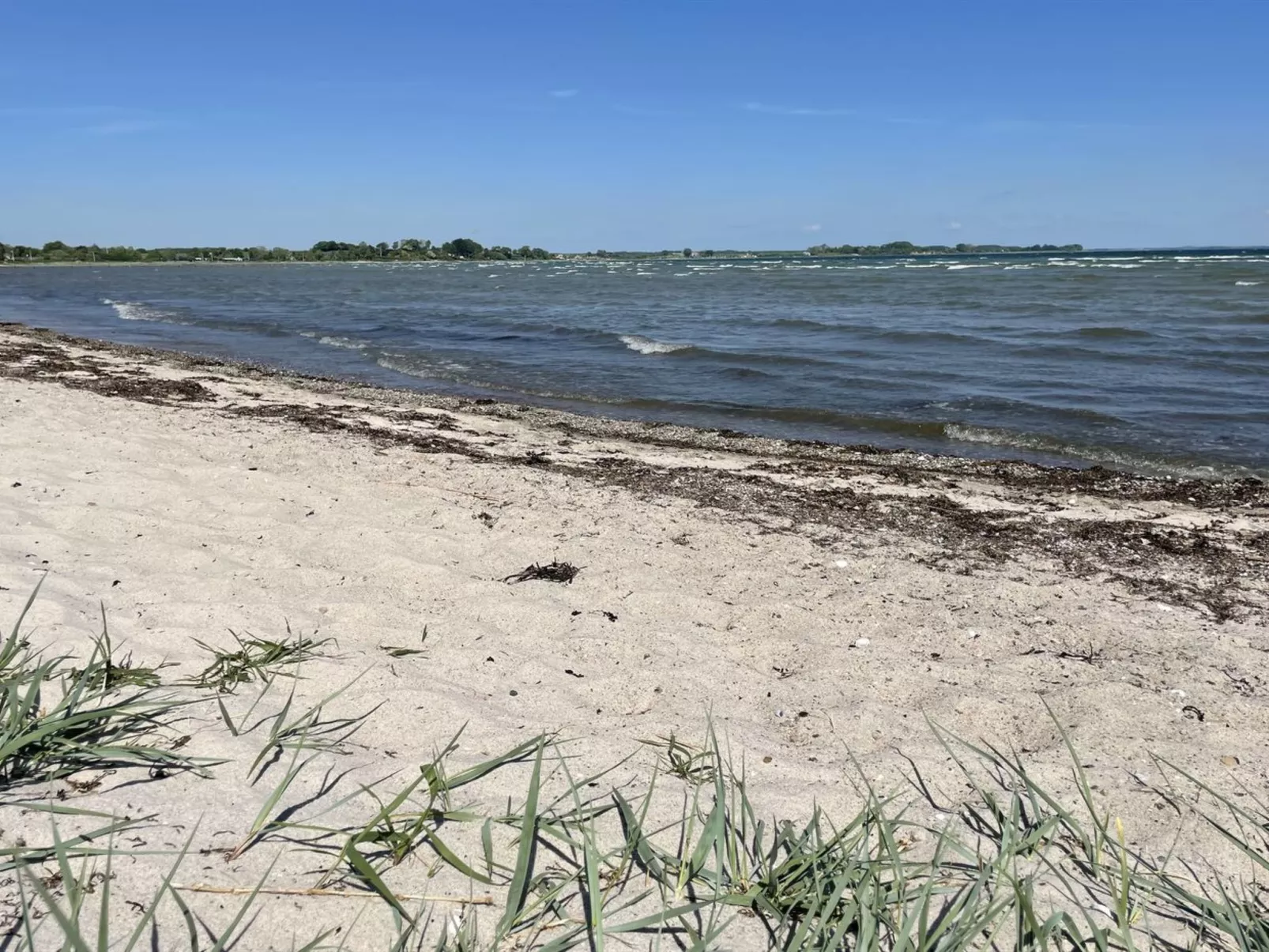 "Ely" - 300m from the sea-Outside