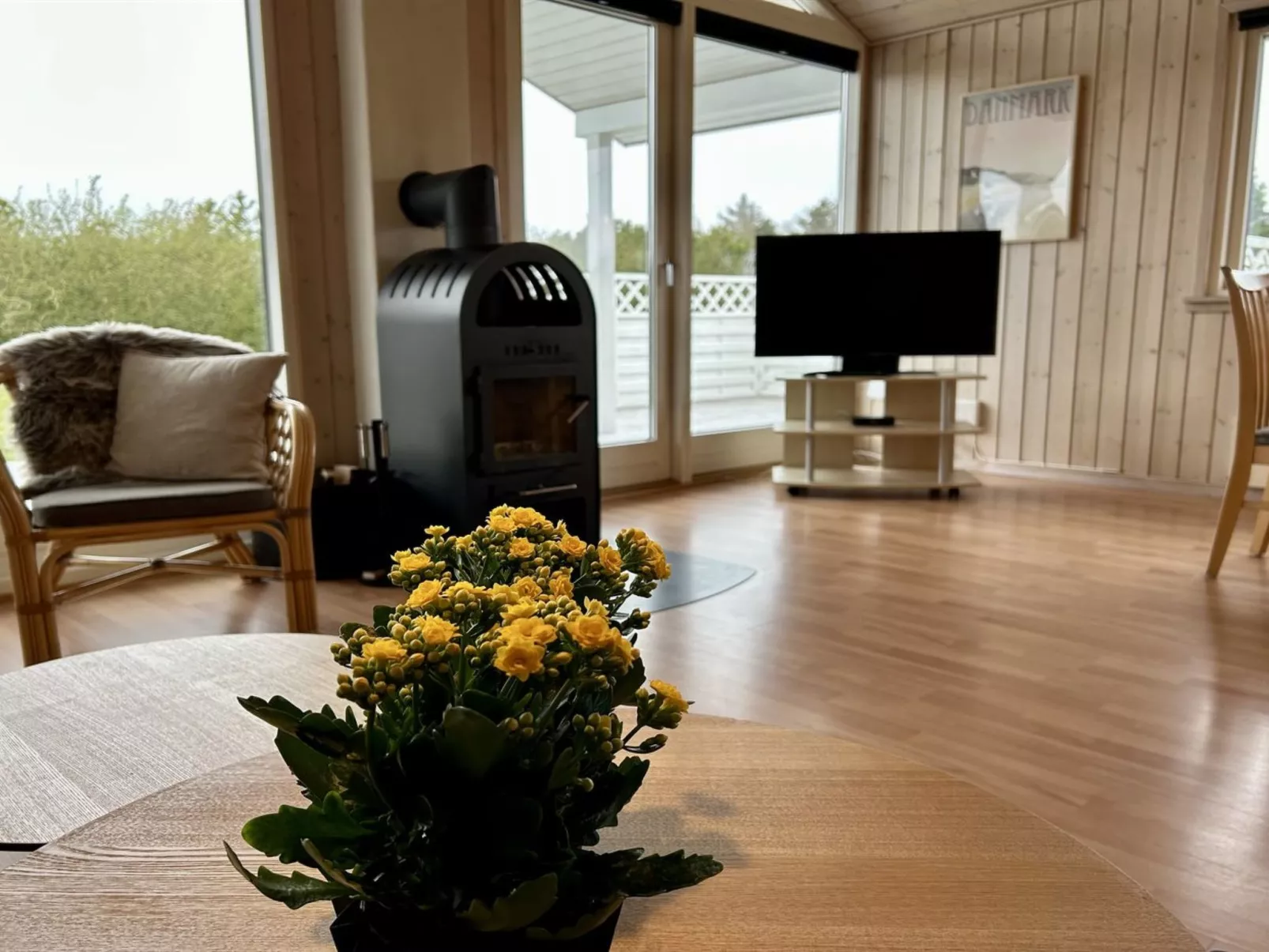 "Picabo" - 750m to the fjord-Inside