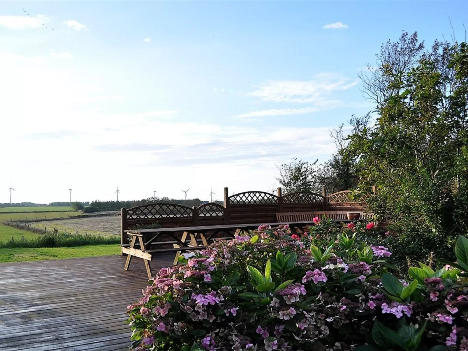 "Millie" - 3km to the fjord-Outside