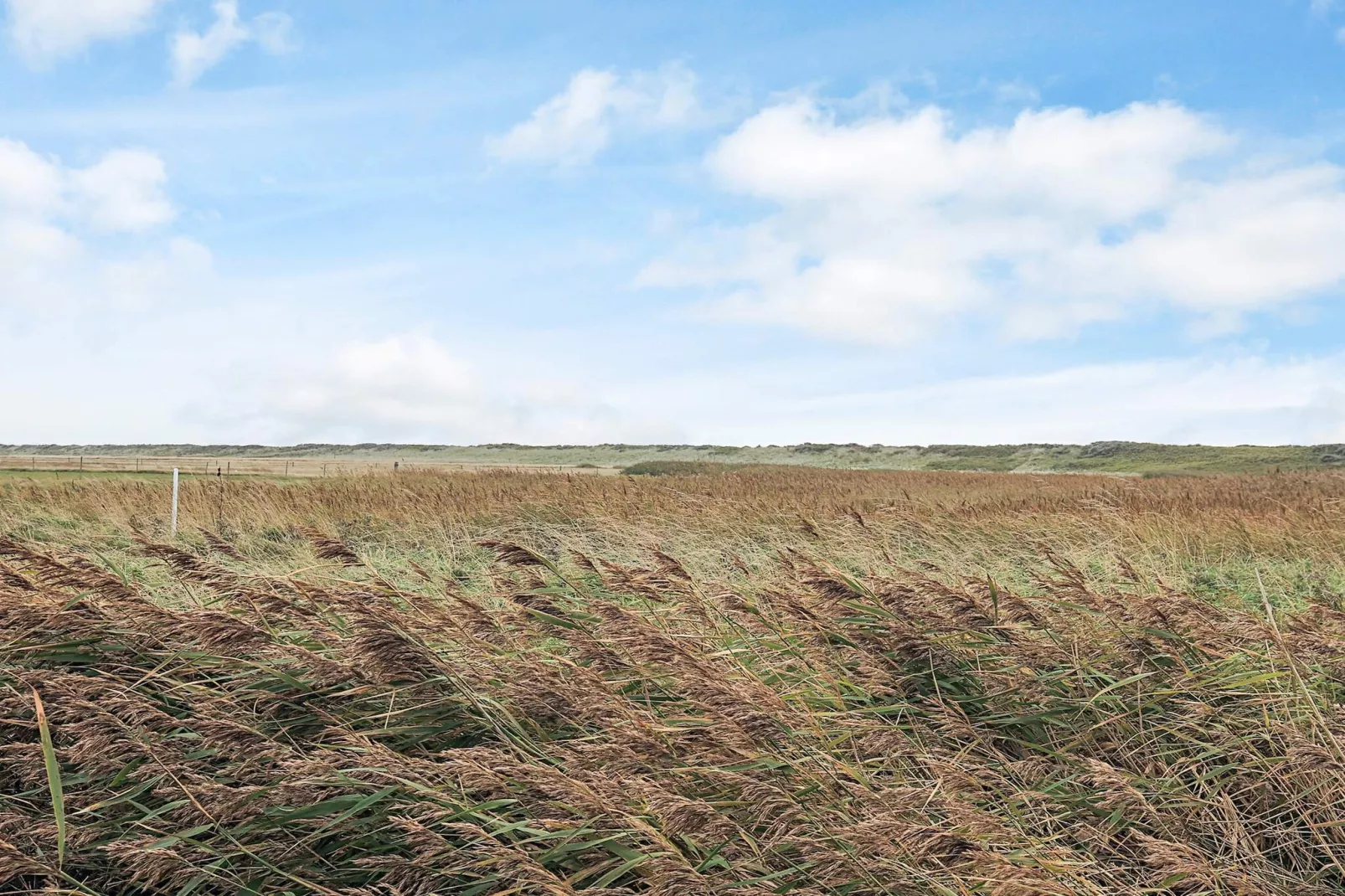 Maison de vacances pour 4 a Vestervig-By Traum-Non tagué